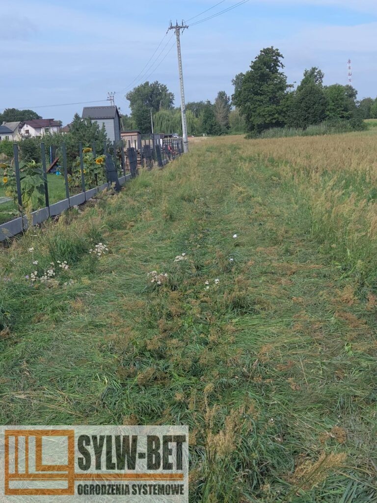 Ogrodzenie Głowno SywBet 5